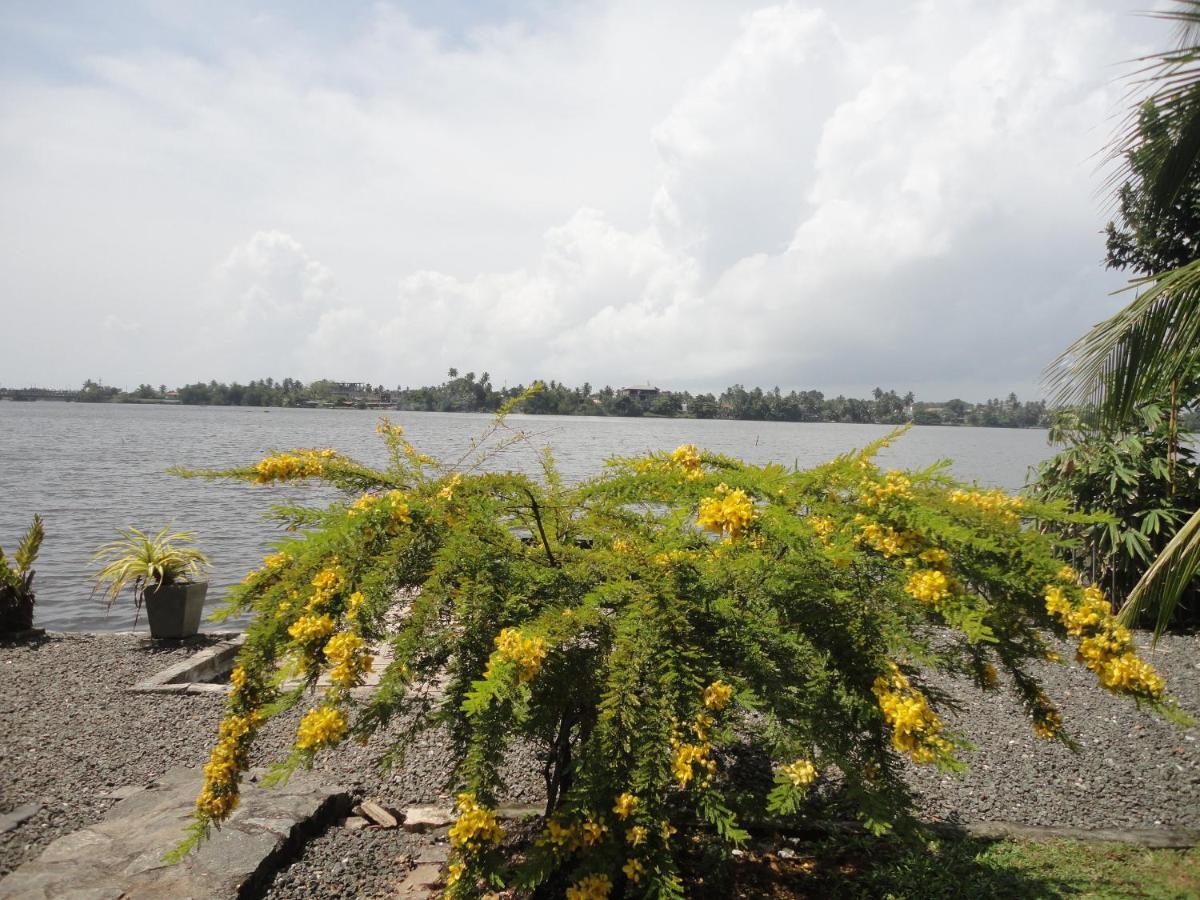 Sapara River Guest Bentota Exterior photo